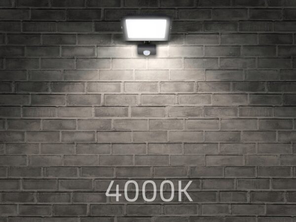 478cc048b25176925b50c7061d3e63f6
